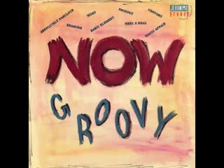 now groovy   jeronimo groovy 88 9 cd compilation 1994